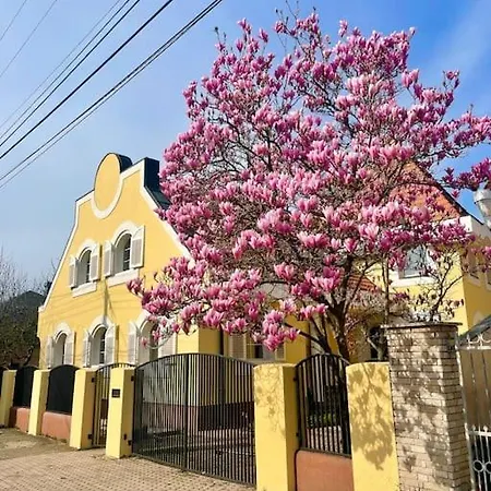 Brigetio Kuria Villa Komárom